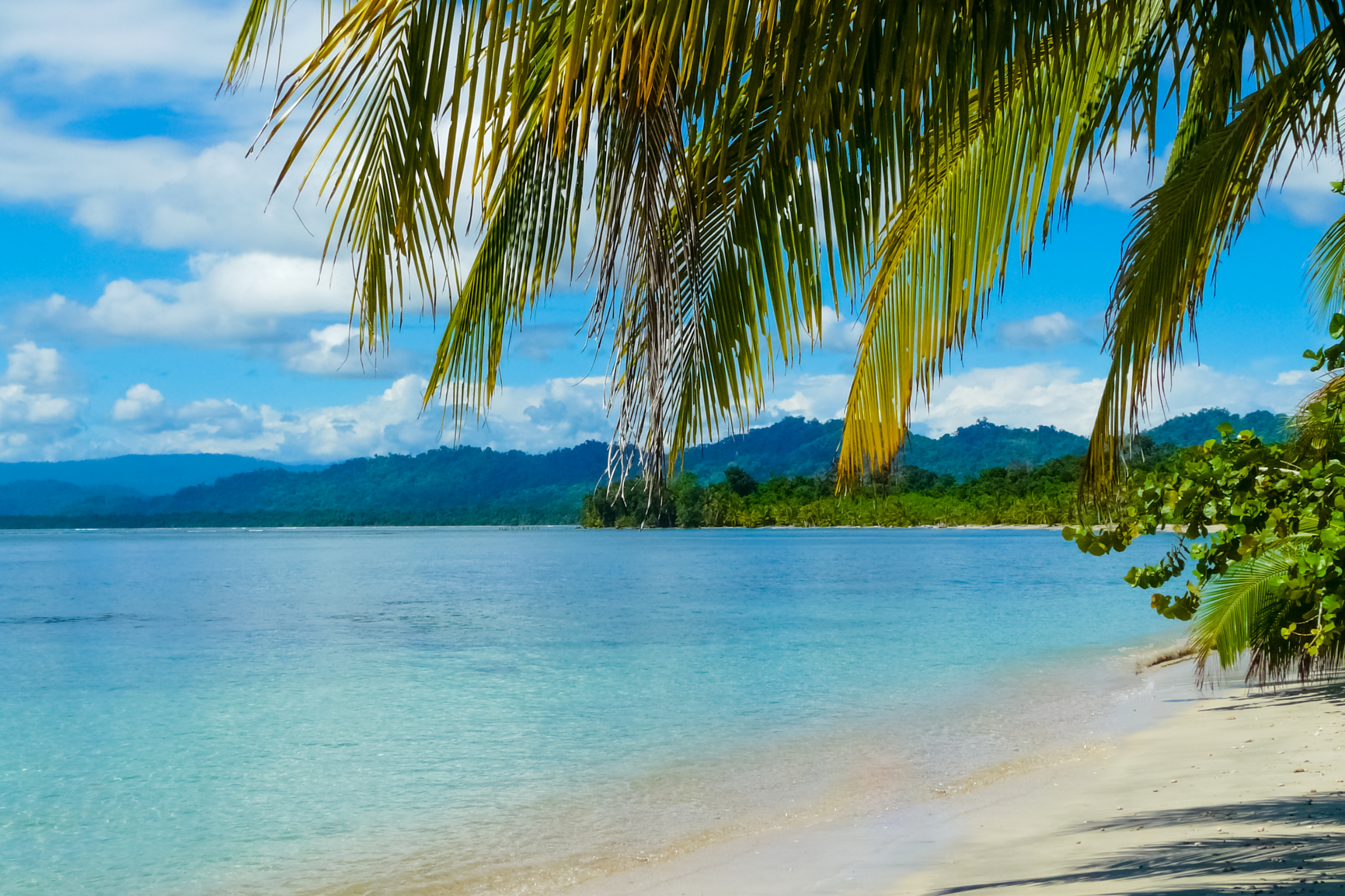 Cahuita_National_Park[1].webp